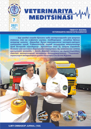 Rasm jurnal
